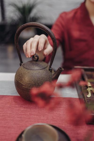田山和康 胧月铁瓶